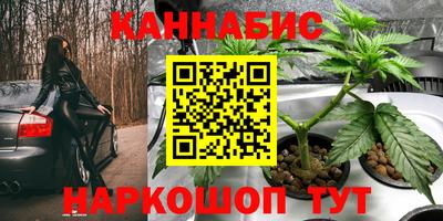 крисы Бийск