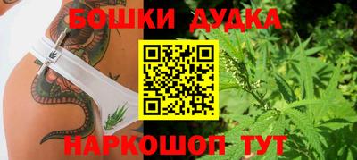 крисы Бийск