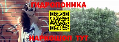 крисы Бийск