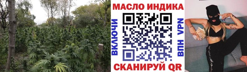 ТГК THC oil  как найти закладки  Димитровград 