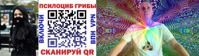 где купить наркотик  Димитровград  Псилоцибиновые грибы Psilocybine cubensis 