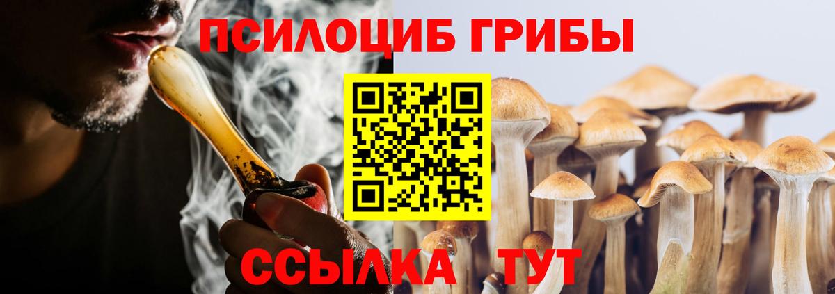 Псилоцибиновые грибы Psilocybine cubensis  Галлюциногенные грибы Psilocybe  Димитровград 