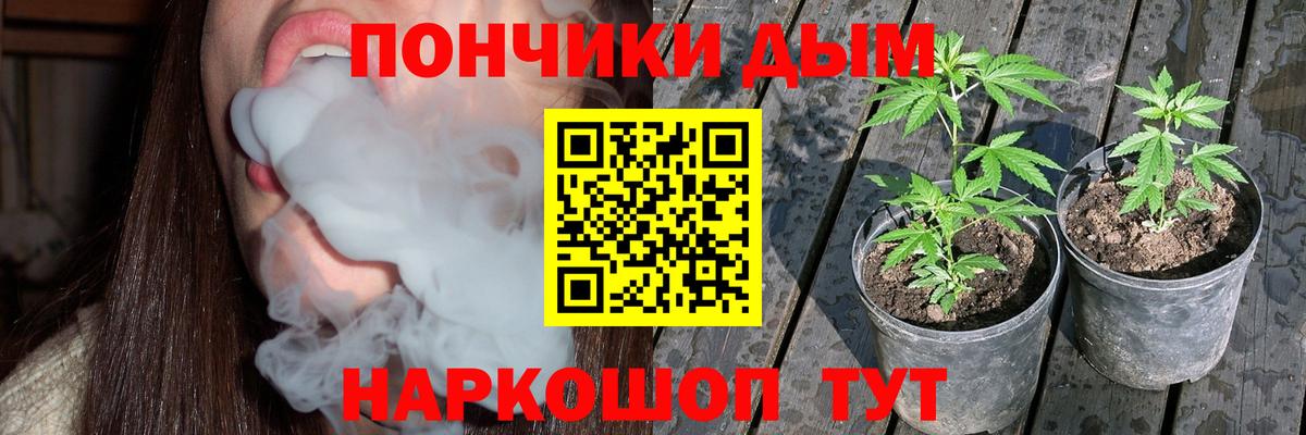 Канабис семена Димитровград